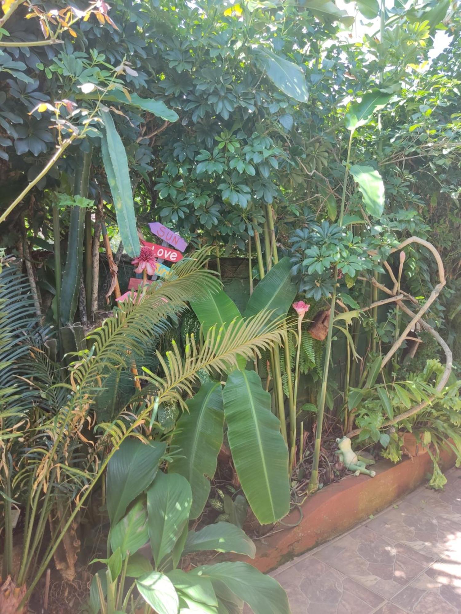 Recanto Toca Das Plantas De Ilhabela I Номер фото
